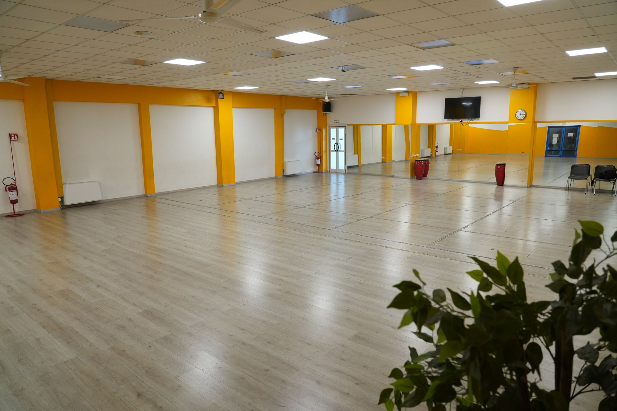 WhatsApp Image 2023-11-30 at 21.22.36